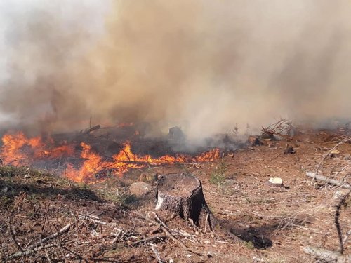 Přibývají lesní požáry. Na Vysočině se do odvolání zakazuje pálení klestí a vypalování trávy