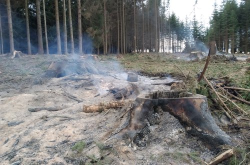 Hasiči znovu vyjížděli k požárům lesního porostu