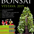 Bonsai výstava