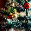 Rozsvícení vánočních stromů v Borech