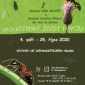 Společenský život hmyzu - muzeum uzavřeno