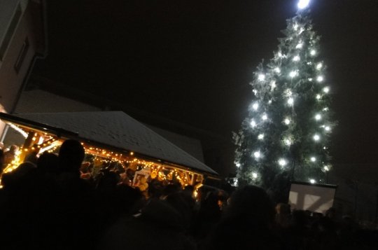 Stromeček se rozzářil i v Oslavici