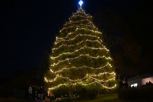 Vánoční stromy září i v místních částech