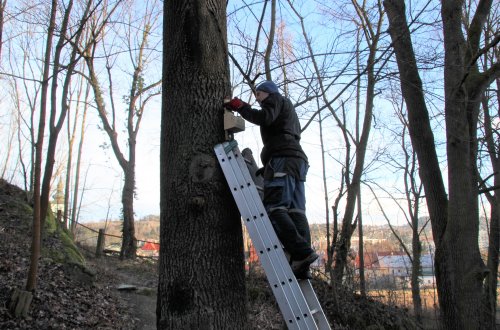 Vyvěsili jsme první darované budky