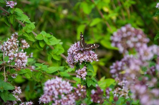 Oslavte Den Země na statku v Balinách