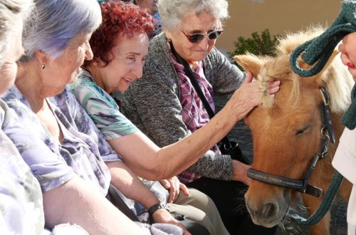 Poníci přijeli potěšit seniory