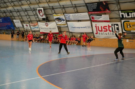 Házená oslavila 100 let