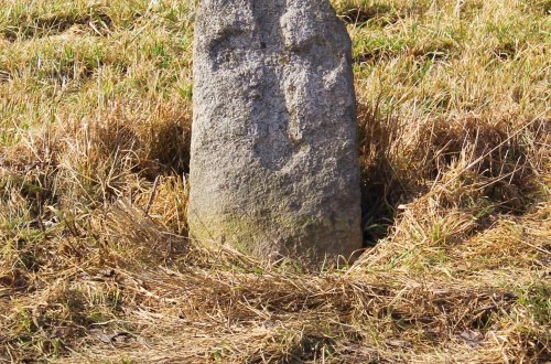 Martinovi nic a Jakubovi více