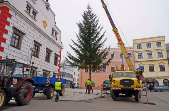 Na náměstí před radnicí se tyčí vánoční strom