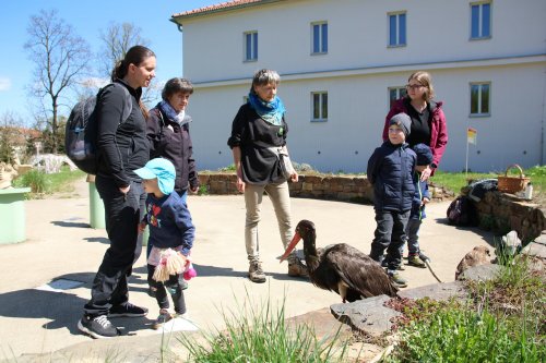 Lidé vyrazili za zpěvem ptáků do Balin