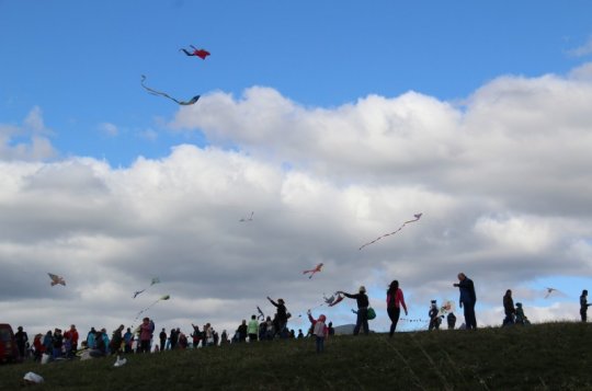 Peníze na kulturu v grantu stále ještě jsou