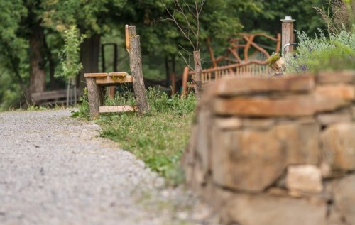 Všichni hurá do zahrad!