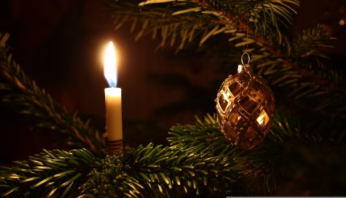 Přijďte rozsvítit strom do Kociánky