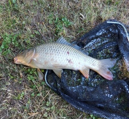 Rybářskou soutěž ovládly Jaroměřice