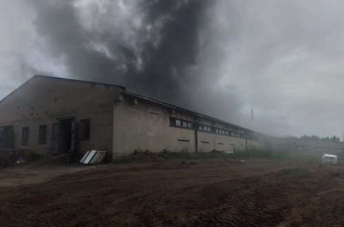 V Jívoví hořela hala s prasaty