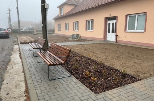 Před kulturákem pokvete červený kaštan