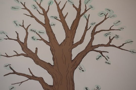 DNA genealogie ve Velkém Meziříčí