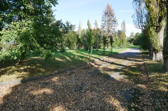 Hřbitov na Karlově čeká rozšíření a modernizace technického zázemí