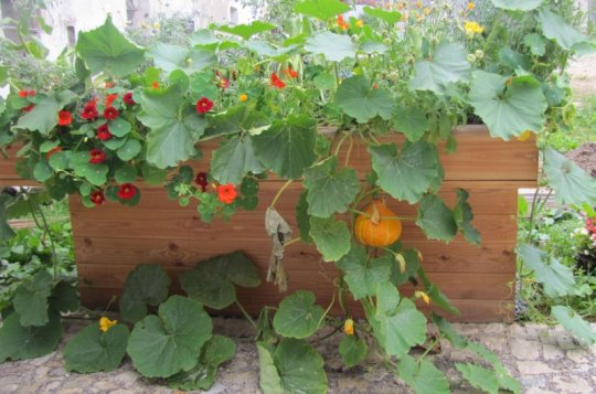 V Balinách proběhnou Slavnosti úrody