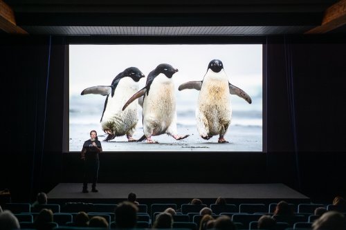 Festival Hranice v pohybu přilákal stovku návštěvníků 
