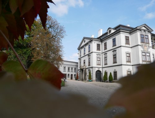 Muzeum opět nabídne bezplatný vstup