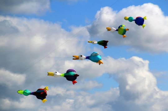 Pořadatelé drakiády děkují všem, kdo pomohli