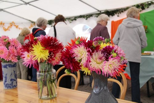 Tématem Dnů zdraví budou "Brambory"