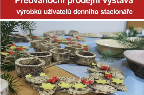 V Nese chystají předvánoční výstavu