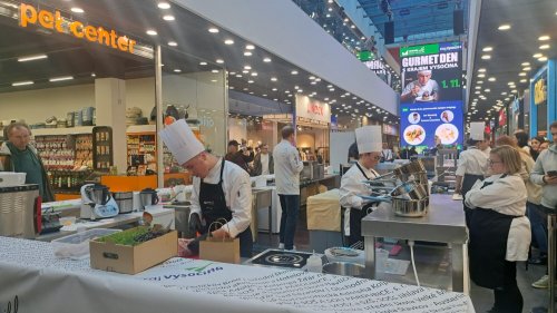 Žáci GA-TE zazářili na soutěži Trophée Mille v Jihlavě