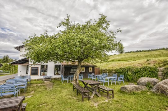 Vydejte se na výlet za Stromy roku a vyhrajte knihy nebo karton Ondrášovky