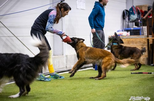 Jana s fenou Malou míří na mistrovství světa v agility