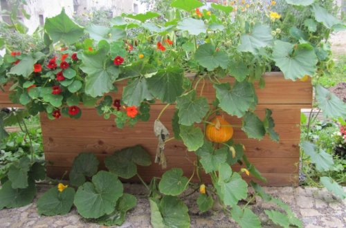 V Balinách proběhnou Slavnosti úrody