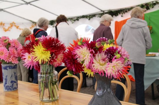 Tématem Dnů zdraví budou "Brambory"