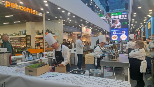 Žáci GA-TE zazářili na soutěži Trophée Mille v Jihlavě