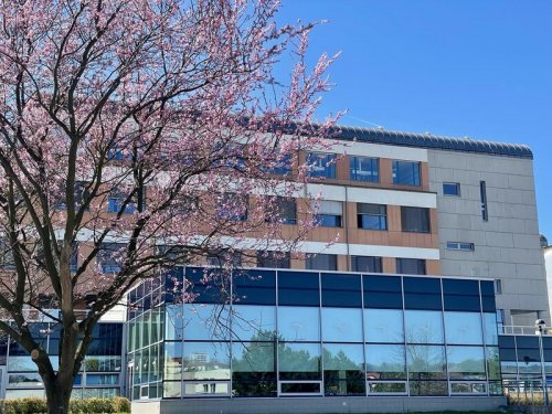 Omezení provozu gynekologicko-porodnického oddělení