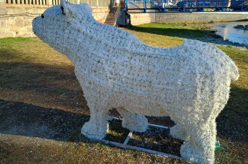 Vandalové poškodili ledního medvěda