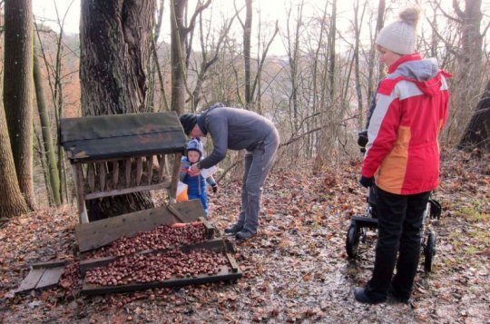 Meziříčského "kufrování" v parku se zúčastnilo 76 nadšenců