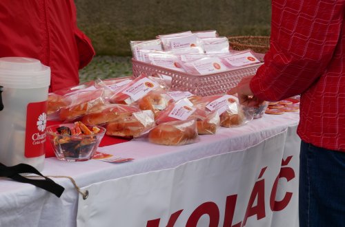 Koláč pro hospic bude pro Barborku