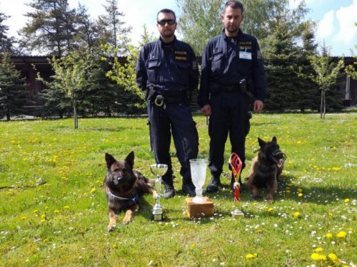 Prestižní kynologickou soutěž vyhrál opět psovod z Vysočiny 