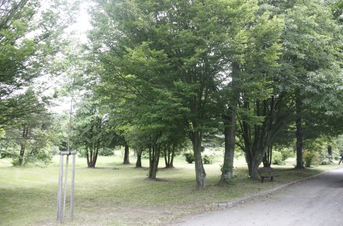 Hřbitov na Karlově se bude rozšiřovat