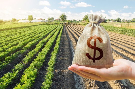 Most Vysočiny podpoří společnou zemědělskou politiku