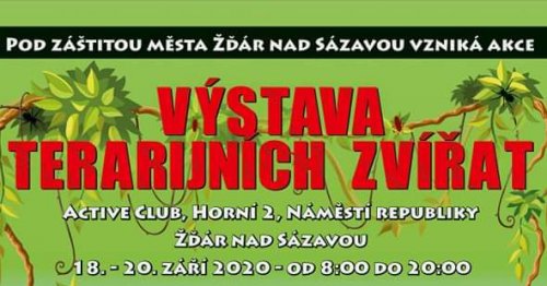 Ve Žďáře nad Sázavou vystavují milovníci teraristiky