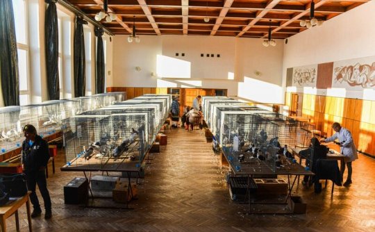 Výstava zvířat se o víkendu otevře v Bohdalově