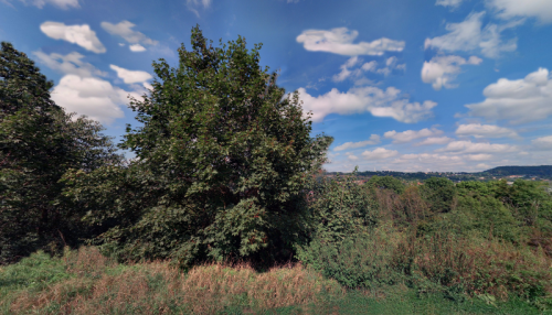 Aby se vědělo, co tam vlastně roste