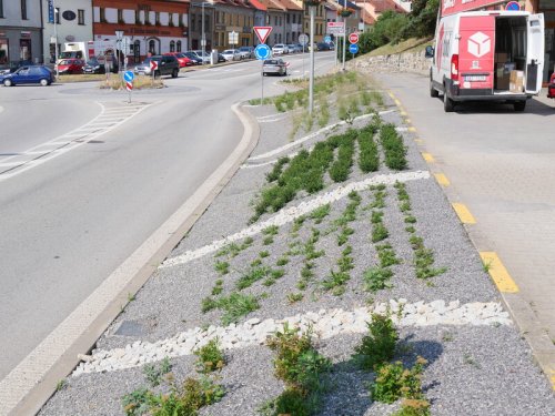 Křižovatku zkrášlí kvetoucí záhon