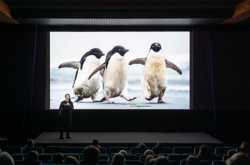 Festival Hranice v pohybu přilákal stovku návštěvníků 