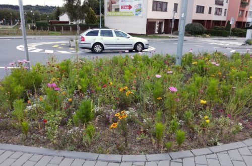 Místo proužků trávy jsou ve městě rozkvetlé louky