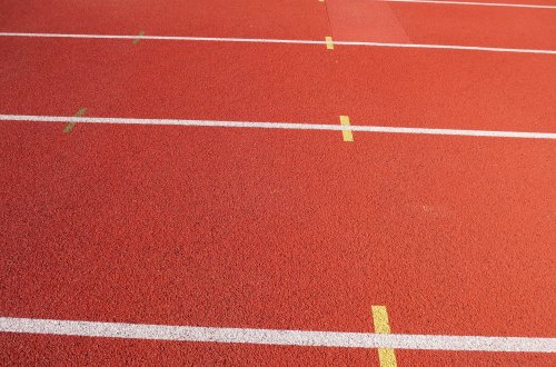 Umělka se zpřístupní veřejnosti