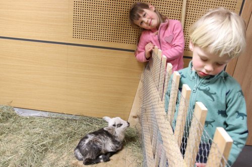 Velikonoční výstava potěšila oči, srdce i hlavu