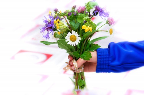 Dóza zve na akademii Květina pro mámu